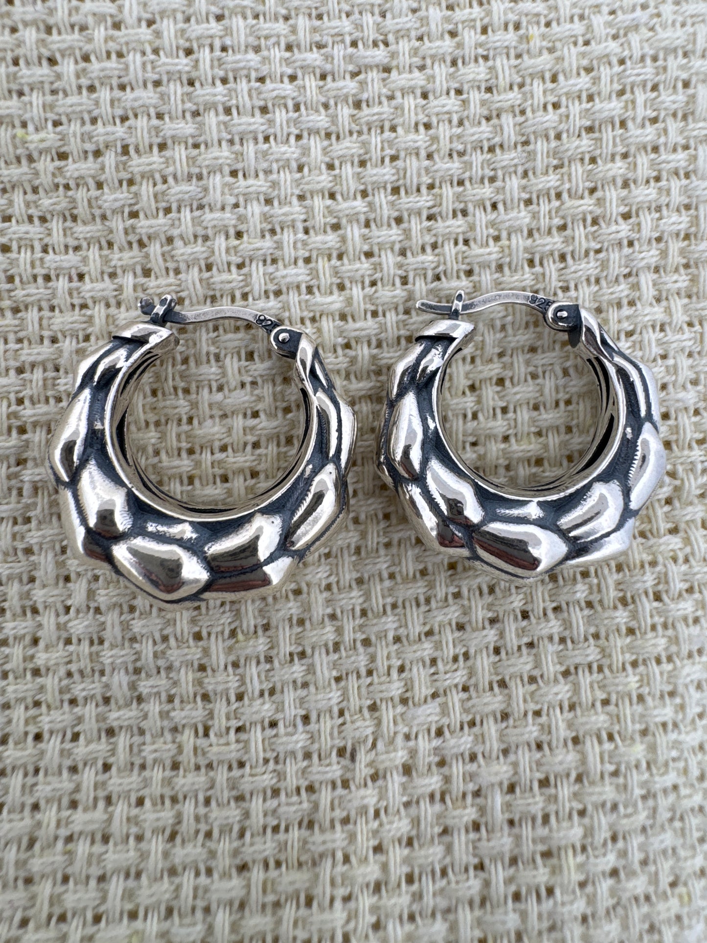 - "Hypoallergenic Earrings"
- "Sterling Silver Hoops"
- "Chunky Earrings"
- "925 Silver Jewelry"
- "Women's Hoop Earrings"